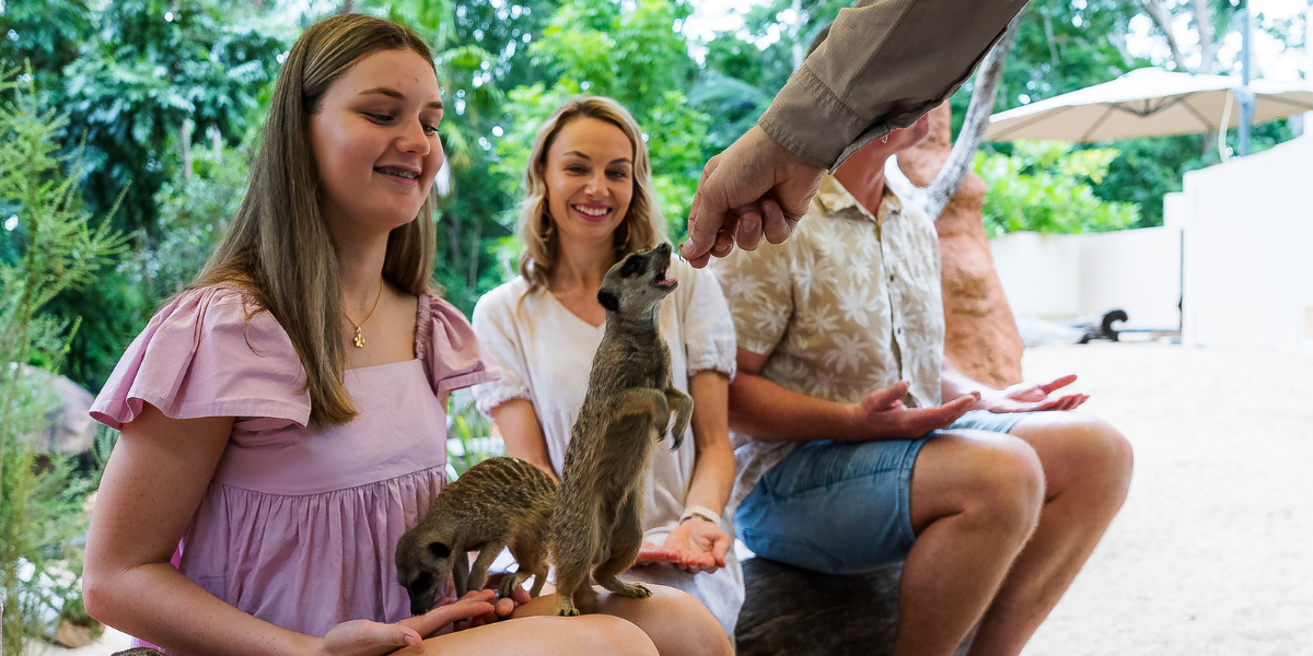 Family with Meerkats on their laps while doing the experience at Rockhampton Zoo