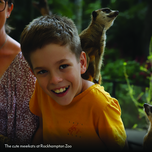 how-to-spend-3-days-exploring-rockhampton_zoo