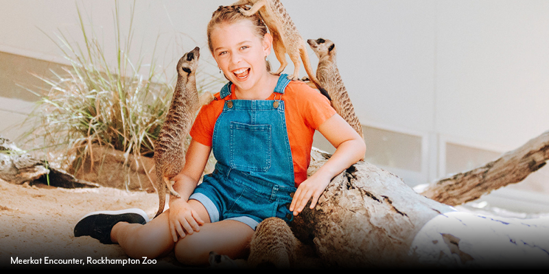 Meerkat encounter_school holidays.jpg