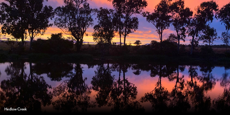 Top swimming spots in Rockhampton_Hedlow Creek.jpg