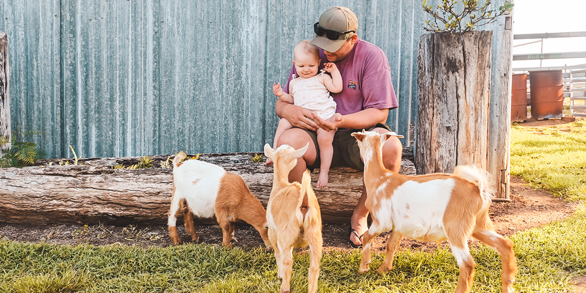 A man holding a baby playing with baby goats