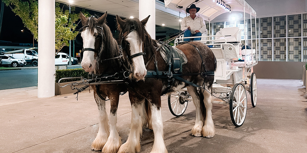 A family riding a horse and carriage