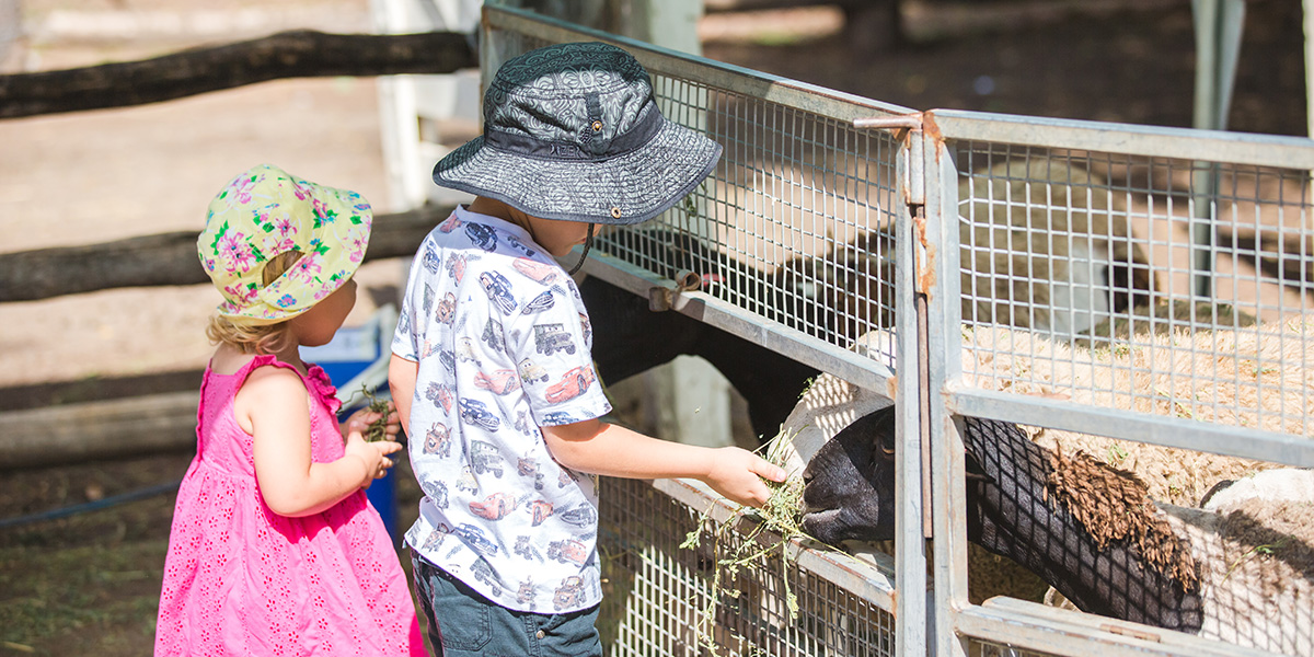 Kids feeding a bay goat at the Heritage Village