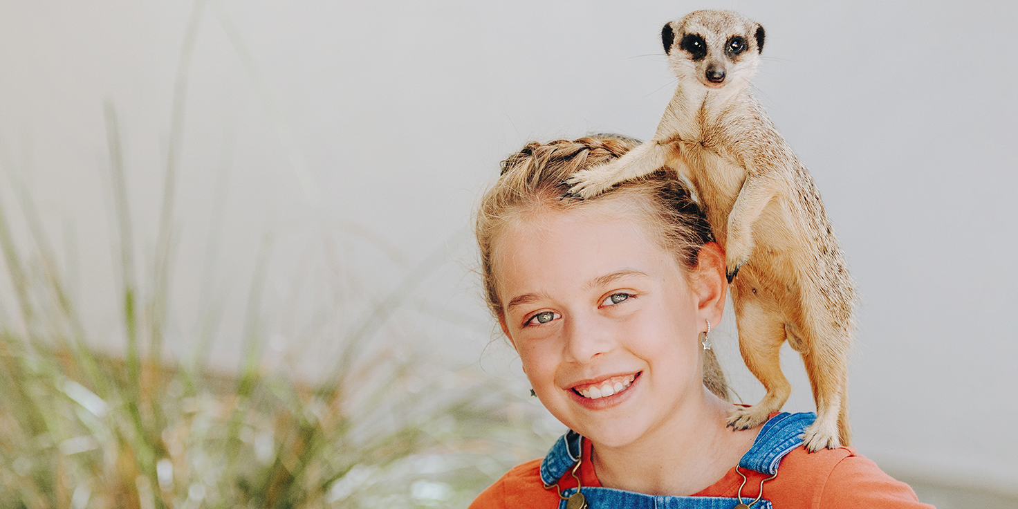 Close up photo of a young girl smiling at the camera with meerkat standing her her shoulders