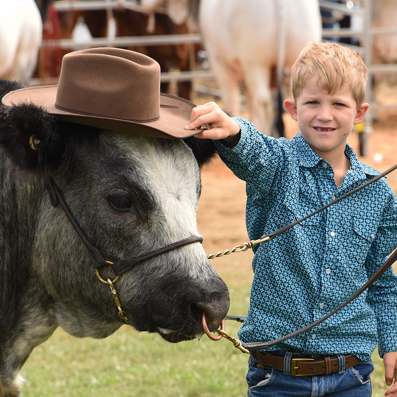 25+ Unbeat-a-bull experiences to enjoy during Beef Australia 2024 ...