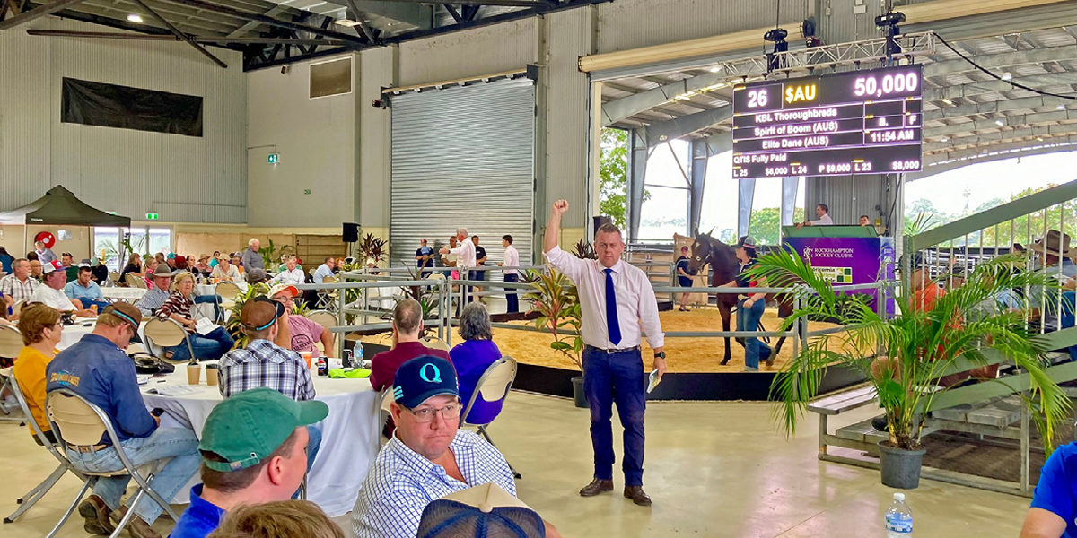 Capricornia Yearling Sale at the Showgrounds 2024.png