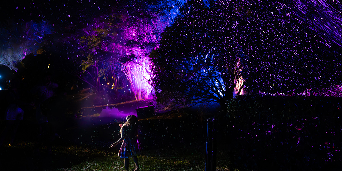 A girl enjoying decorative lights illuminating the bamboo trees and landscaped gardens of Rockhampton's Botanic Gardens.