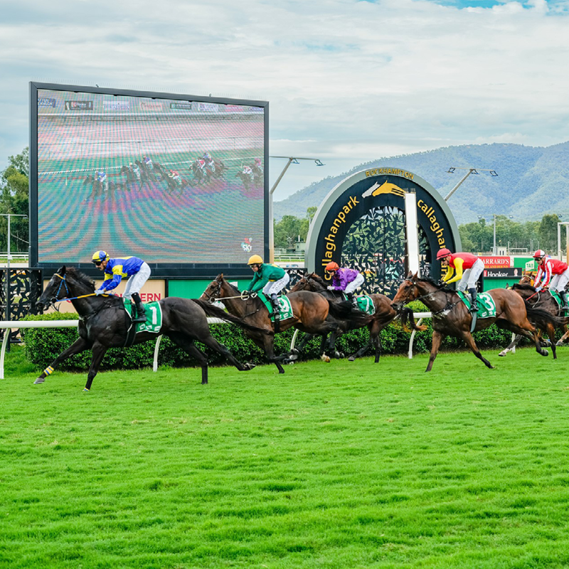 Cap Yearling Sales Race Weekend 2024.png