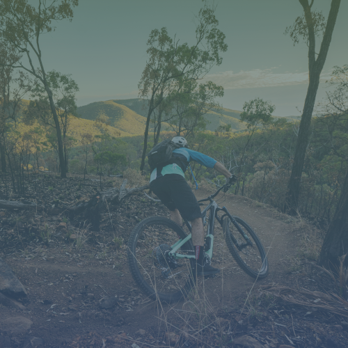 First Turkey Mountain Bike Park Explore Rockhampton