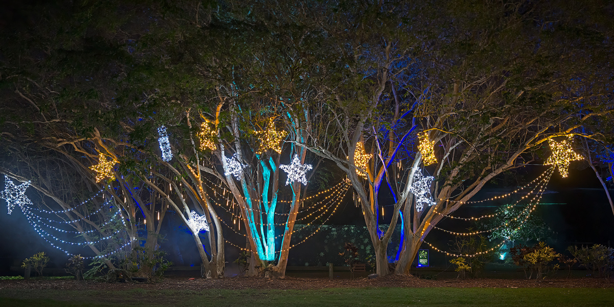 Radiance Light Show at Rockhampton Botanic Gardens with colourful star light displays in the trees